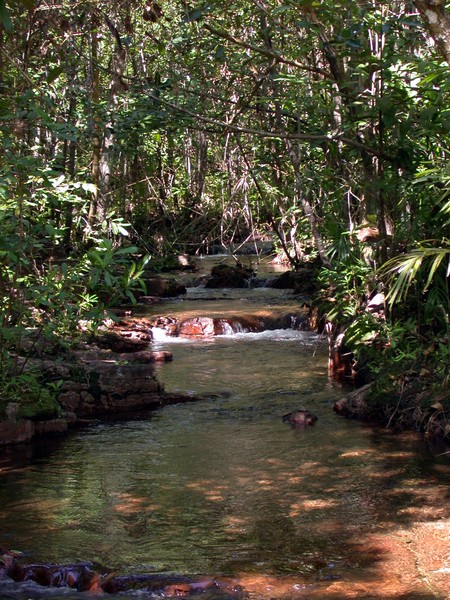 Shady Creek